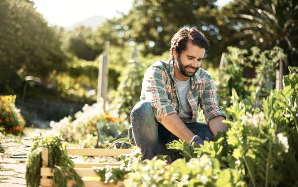 Person gardening