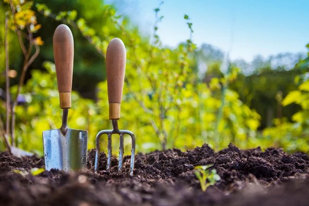 Gardening tools on soil
